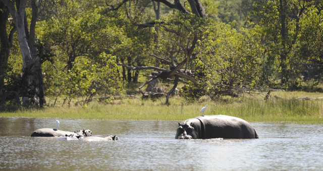 Etosha National Park Accommodation