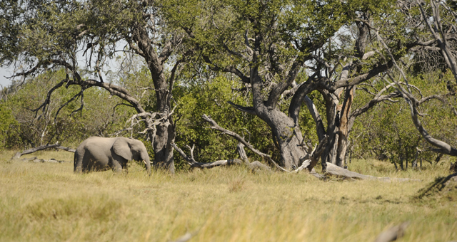 Etosha National Park Accommodation