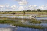 Okavango Delta lodges and hotels