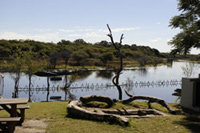 Maun hotels