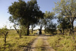 Moremi Park lodges and  hotels