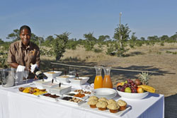 places to stay in Chobe