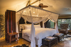 places to stay in Chobe