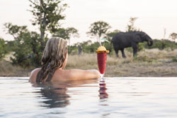 places to stay in Chobe