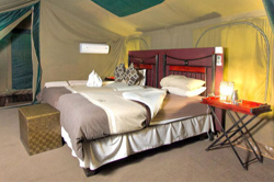 places to stay in Savuti