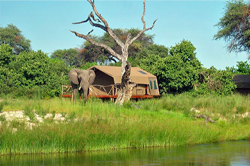 places to stay in Chobe