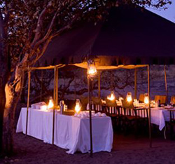 Chobe Under Canvas, Chobe