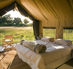 Chobe Under Canvas, Chobe