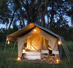 Chobe Under Canvas, Chobe