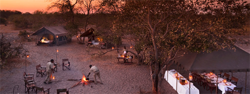 Chobe Under Canvas, Chobe