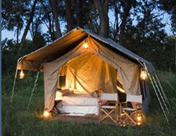 Chobe under Canvas, Chobe