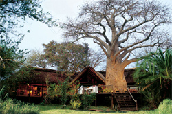 places to stay in Chobe