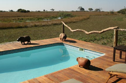 places to stay in Kwando Linyanti Chobe