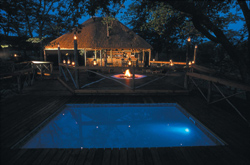 Mankwe Bush Lodge, Chobe