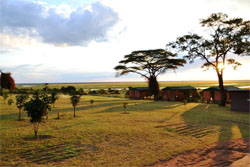 places to stay in  Chobe