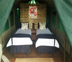 places to stay in  Chobe