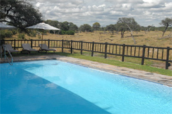 places to stay in Savuti