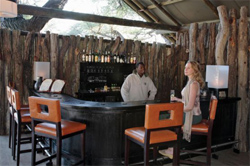 places to stay in Savuti