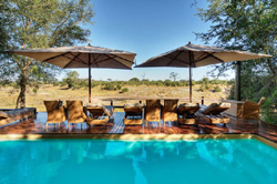places to stay in Savuti