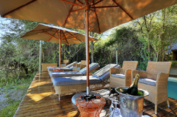 places to stay in Savuti