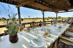 places to stay in Savuti