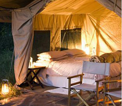 Savute under Canvas, Chobe