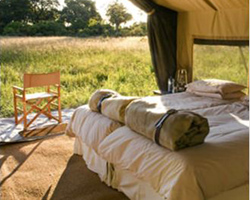 Savute under Canvas, Chobe