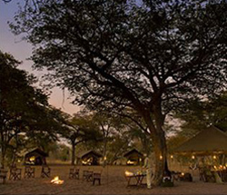 Savute under Canvas, Chobe