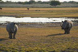 places to stay in Ghanzi