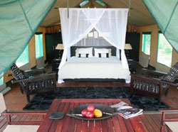 places to stay in  Central Kalahari Desert