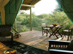 places to stay in Central Kalahari Desert