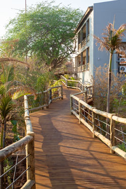 Chobe Bush Lodge