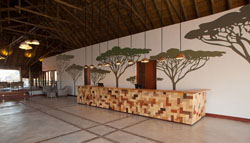 Chobe Bush Lodge