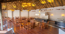 Chobe Bush Lodge