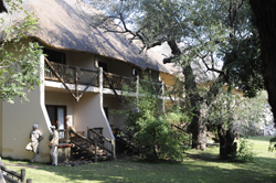 places to stay in Kasane