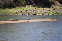 African Ranches River Camp