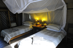places to stay in Maun
