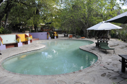 places to stay in Maun