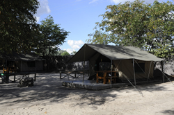 places to stay in Maun
