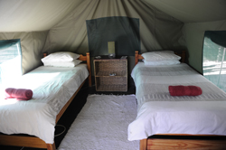 places to stay in Maun