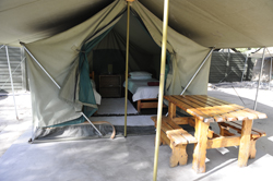 places to stay in Maun