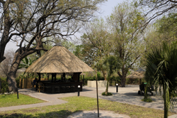 places to stay in Maun