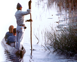 Crocodile Camp, Maun