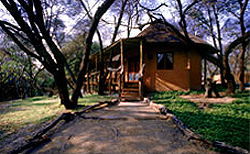 Crocodile Camp, Maun