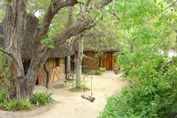 places to stay in Maun