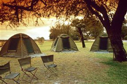 places to stay in Maun