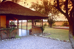 places to stay in Maun