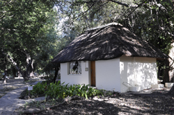 places to stay in Maun