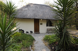 places to stay in Maun