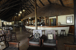 places to stay in Maun